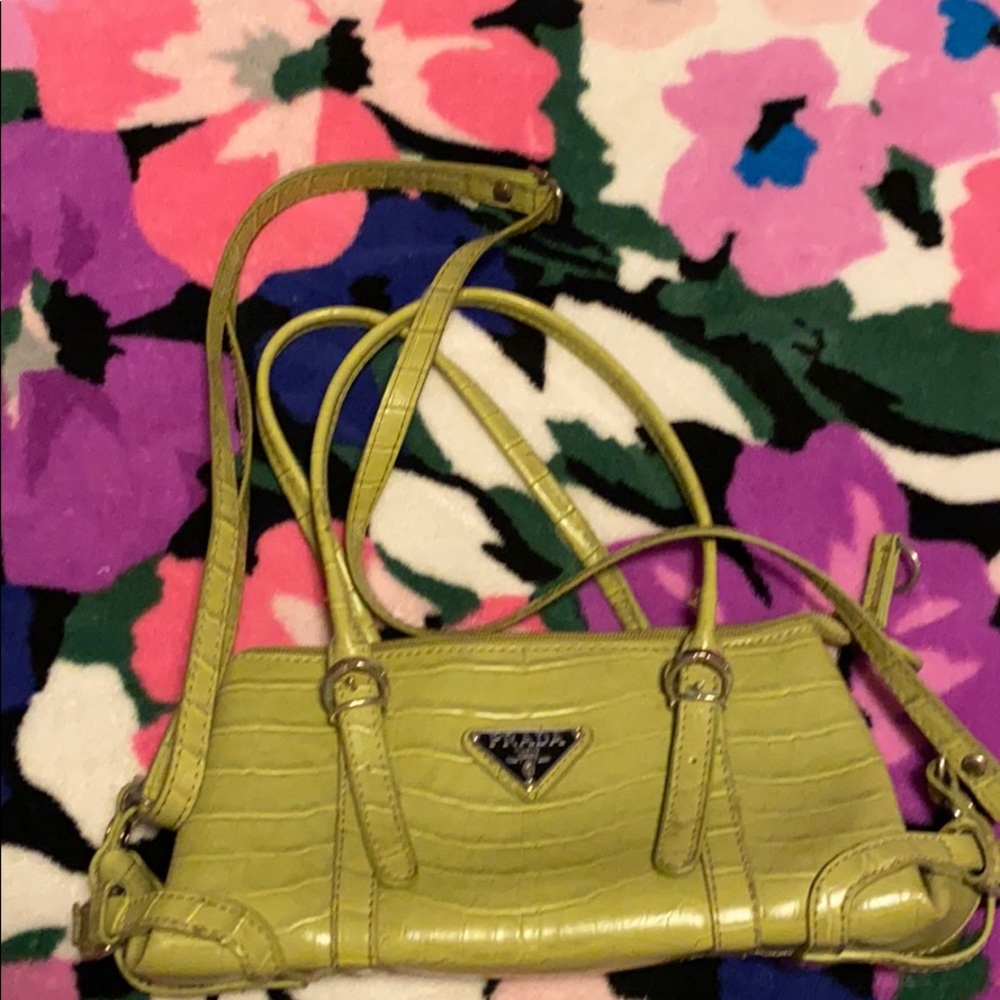 Small green purse